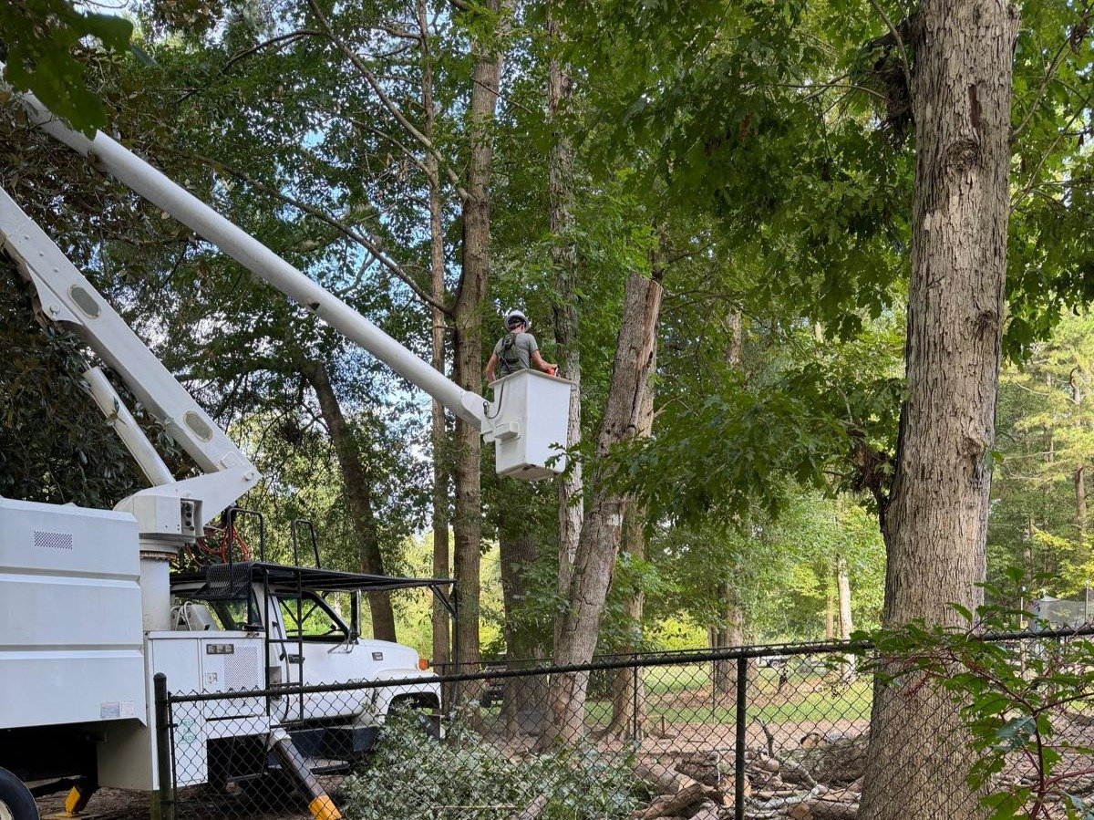 El Costeño Tree Service LLC